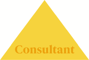 Framework CONSULTANT